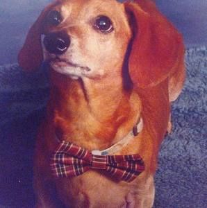 Meet your Posher, Carl